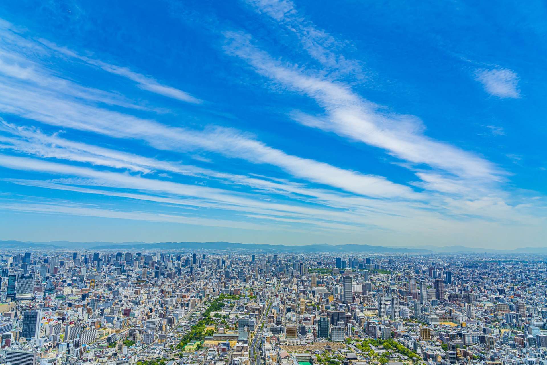 株式会社コネクト